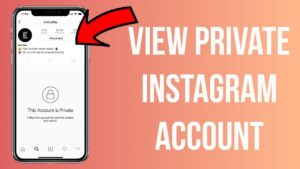 How to See Someone's Private Account Photos on Instagram?